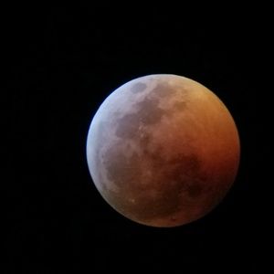 Meet your Posher, Kurt